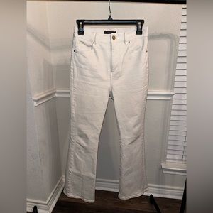 Ann Taylor boot pants